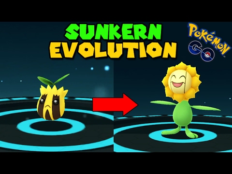 Sunkern Evolution Chart
