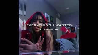 everything i wanted - speed up / billie eilish Resimi