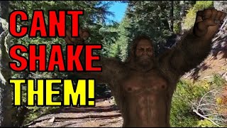 Bigfoot encounters follow one woman to 3 different states, has interesting theories about them