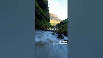 قران كريم/ شاشه سوداء/كاب كات/راحة نفسيه