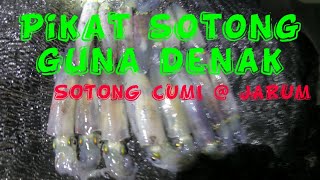 Pikat Sotong | Tanguk Sotong Cumi | Sotong Jarum