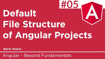 05. Default File Structure of Angular Projects