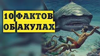 10 ФАКТОВ ОБ АКУЛАХ