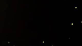 Ben Yürürem Yane Yane