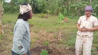 TAUSOG PALLA. Indah Putlih Baggol Samlani vlog.