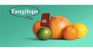 Chocolate Citrus?! (Redone)
