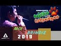 Mix Brindis  Nicho y sus Cachorros 2019