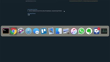 Roots for WordPress  - 03 - Install Sage for the sites