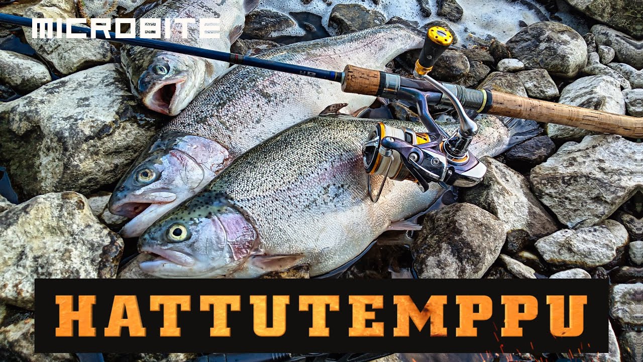 Hattutemppu Viannalla / Karkuutuksia ja onnistumisia