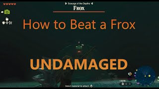 Zelda: Tears of the Kingdom How to Beat a Frox UNDAMAGED| Boss Guide | TOTK Tips | Frox Location
