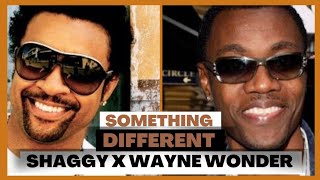 Something Different (1995) - Shaggy feat. Wayne Wonder