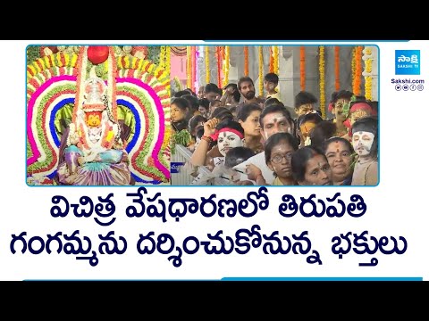 ఘనంగా ప్రారంభమైన గంగమ్మ జాతర || Tirumala Tirupati Thathayya Gunta Gangamma Thalli Jatara 2024 - SAKSHITV