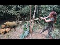 Detect wild boar  skills making fixed bows arrows for ambushes  set traps catch wild boar part 1