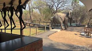 Rothschild Safaris | Sungani Lodge