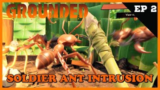 GROUNDED | These Soldier Ants Raided my Base | Ep 2