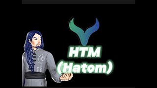 Hatom Project Analysis 