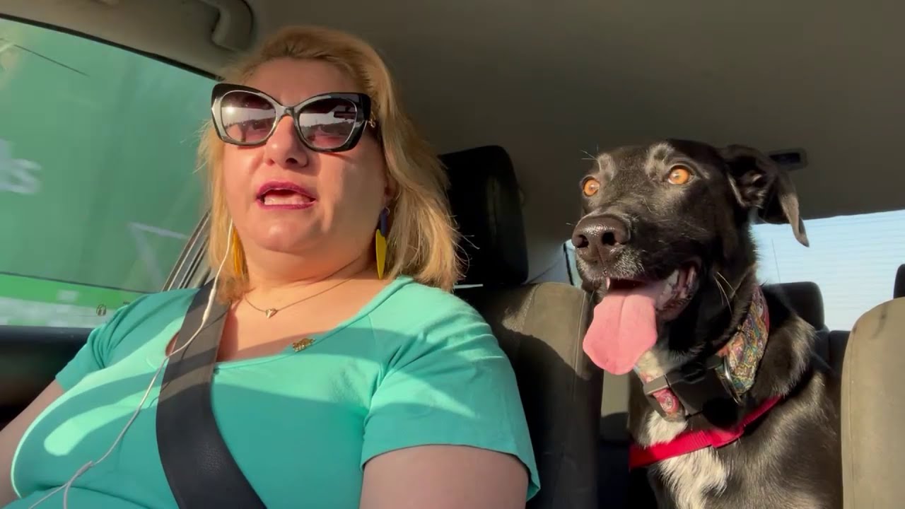 Η θηλιά του δεσμού μεταξύ ενός αποφευκτικού και ενός αγχώδους τύπου.  The anxious avoidant loop!