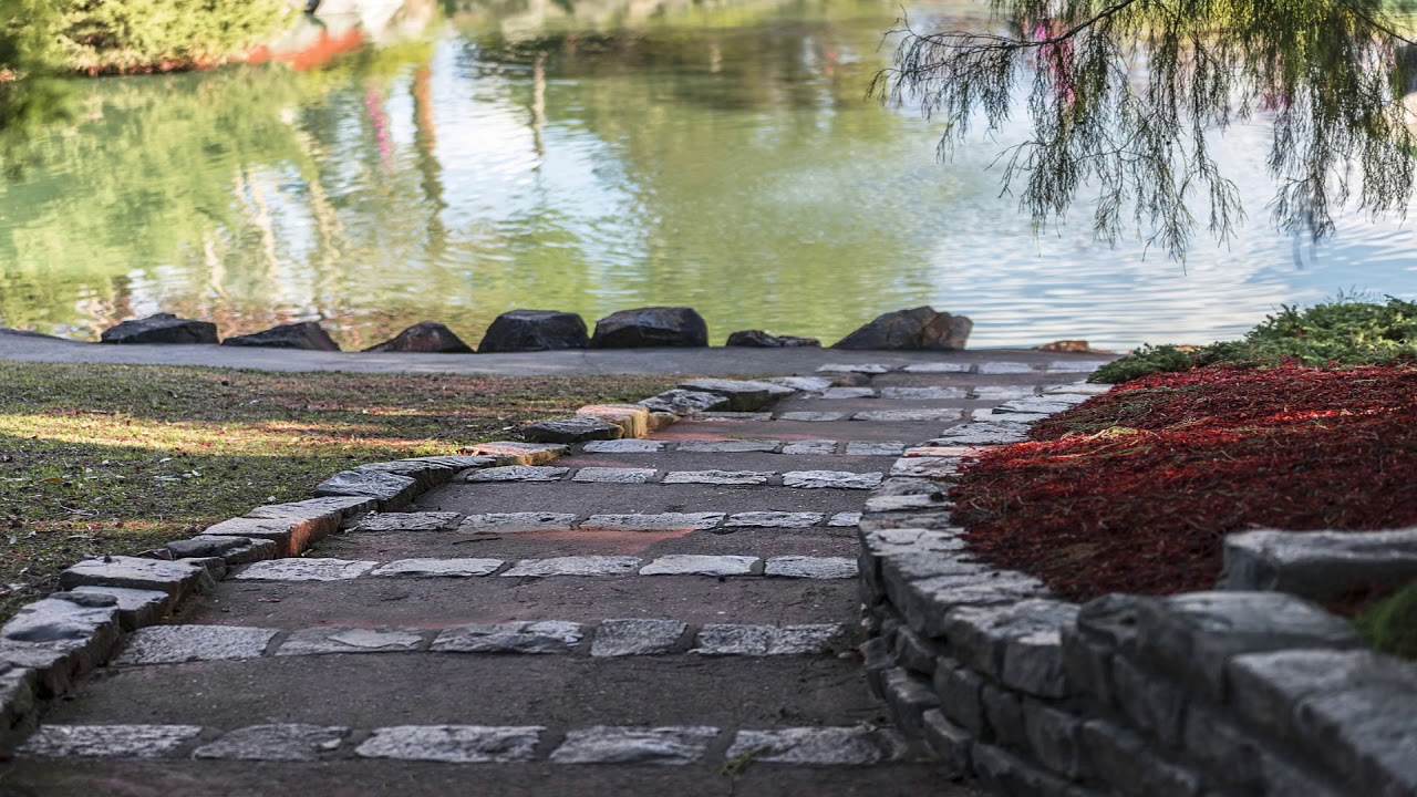 🔹Meditation Relaxing Music🔹Bamboo Flute`s Sounds for Stress 🔹Music for