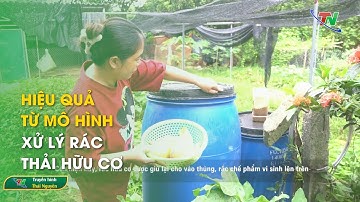 Hiệu quả từ mô hình xử lý rác thải hữu cơ | Thái Nguyên TV