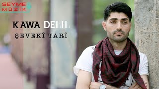 Kawa Delîl - Şevekî Tarî Resimi