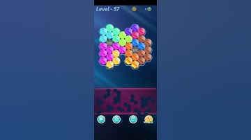 Block! Hexa Puzzle~HexaMage B block 10 to 11 levels~ level-57