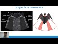 Elearning n1  echographie pleuropulmonaire dans la dyspne aigu  thse franois m