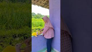 Asep d gigit kura kura jumbo#comedy#shorts