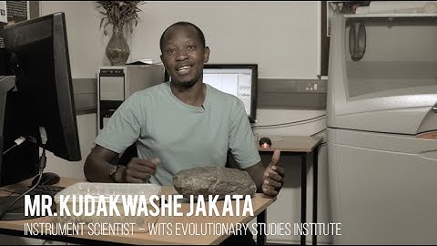 Computer assisted paleontology