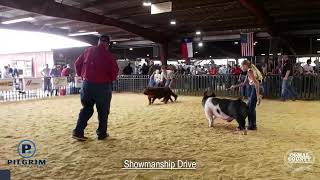 Comal County Junior Livestock Show