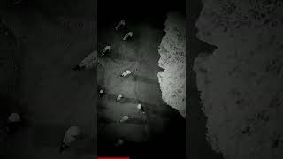 MISTERI: Voodoo Bukan Sekadar Boneka - Ini Asal Penyiksaan Nyata