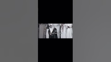 مختصر الحياة في سورة الزمر 💚💚