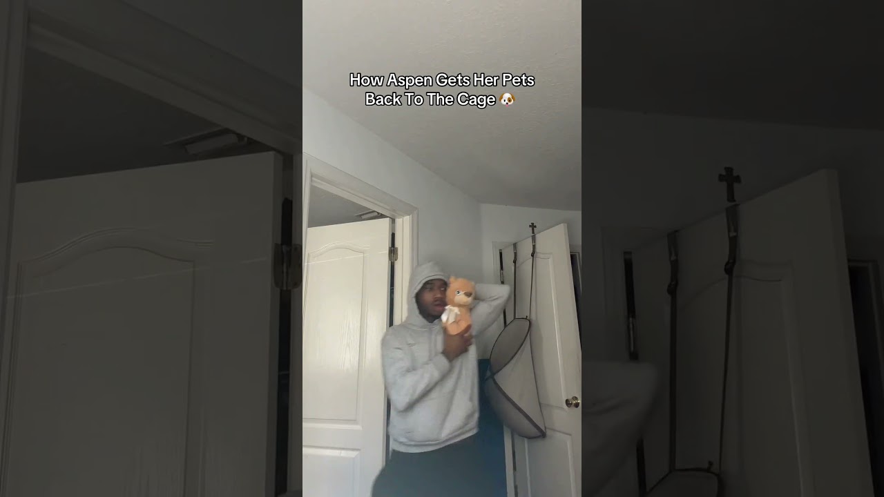 Aspen’s Dog Incident