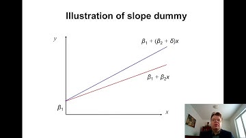 Econometrics 5c: Slope dummies