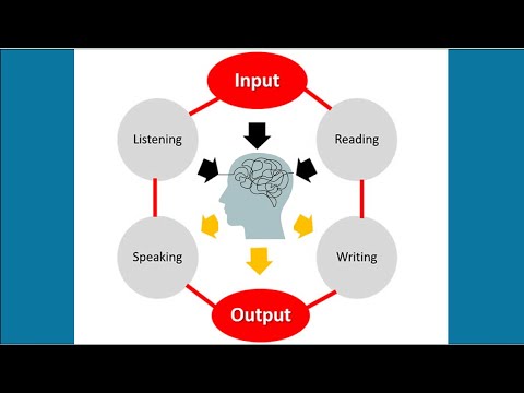 INPUT AND OUTPUT - YouTube