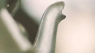 First Look | Chai Ki Tapri - Teaser