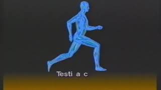 Storia Del Salto Con Lasta Fidal