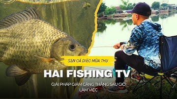 “Câu Cá Tự Nhiên: Giải Pháp Giảm Căng Thẳng Hiệu Quả Sau Những Ngày Làm Việc” 🎣🐟