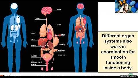 Circulatory System Class 5 | Swiflearn Class 5 Science - ICSE & CBSE