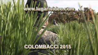 COLOMBACCI 2015 screenshot 1
