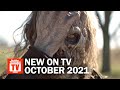 Top TV Shows Premiering in October 2021 | Rotten Tomatoes TV