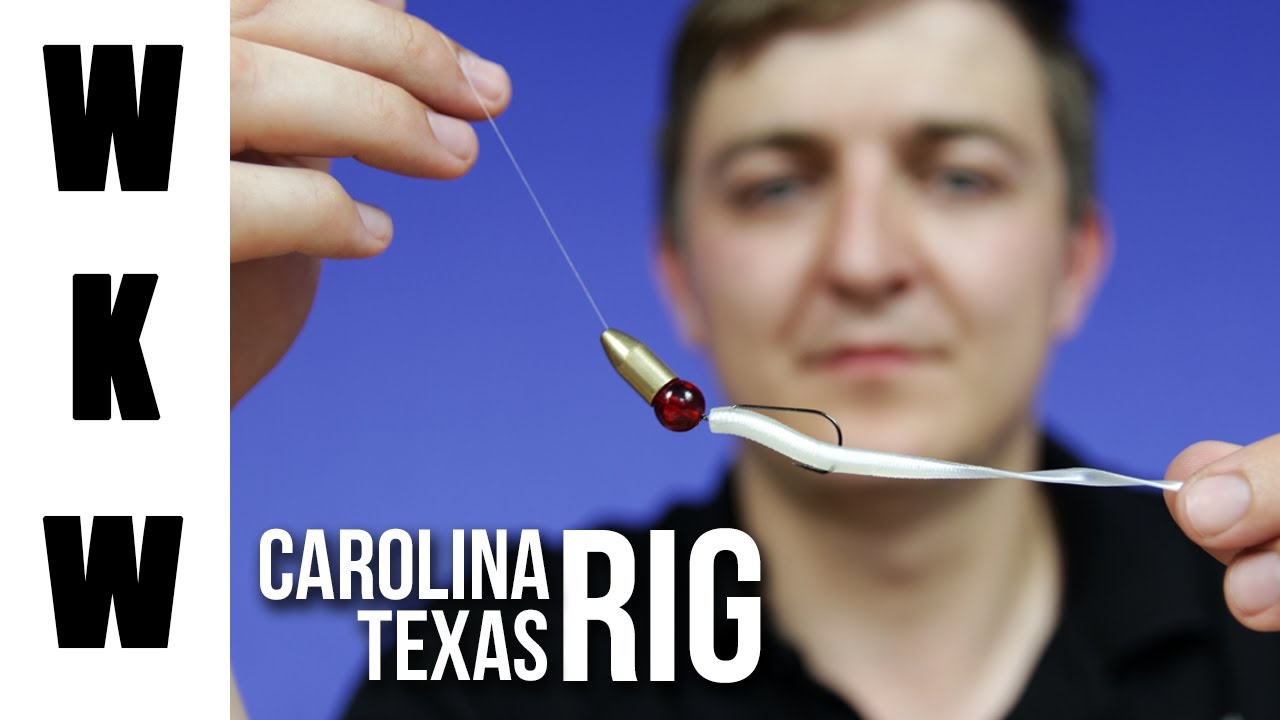Texas Rig Vs Carolina Rig