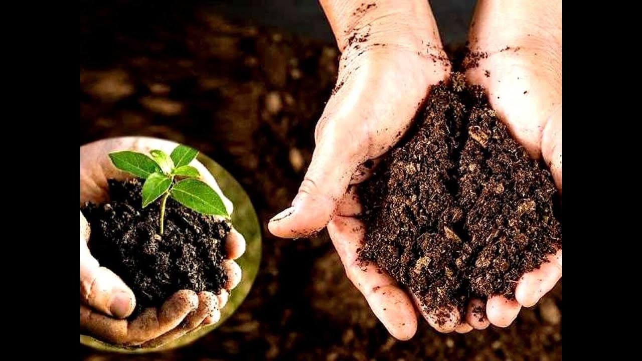 HealthyOrganic - Economical solution for moving to Organic farming