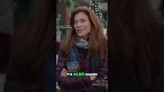 Introducing Little West: Andrew Walker's Business