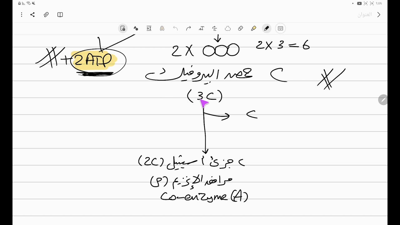 أحياء تانية ثانوي - التنفس الخلوي (٢) - انشطار الجلوكوز ودورة كربس وسلسلة نقل الإلكترون 💥