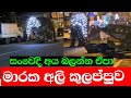 а ёа Џа а љ а а Ѕа а ља а Ѕа ґа Ља ґа а Ђ Elephats Attack Ali Kulappuwa а ёа Џа а љ а а Ѕа а ља а Ѕа ґа Ља ґа а Ђ Elephats Attack Ali Kulappuwa
