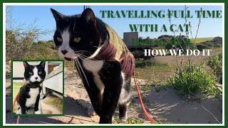 TRAVELLING FULL TIME WITH A CAT how we do it! (Van Life Australia)