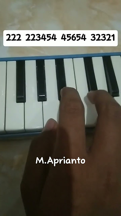 Not pianika basuri jeger #davmusicalairhorn