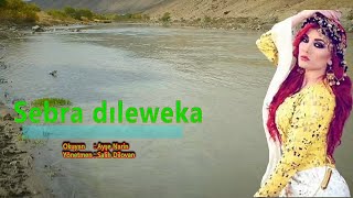 Sebra Dilêweka Klama Welat Ayşe Narin