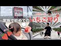 【思い出Vlog】いちご狩り 1歳6ヶ月 3人家族 休日 空中いちご園 1