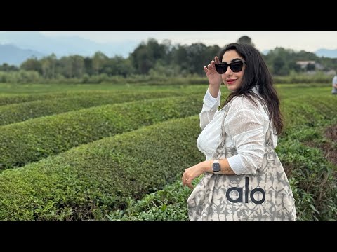 سفر به رشت ولاگ شمال ایران سبزی بارون و طعم واقعی گیلان